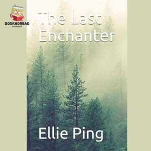 The Last Enchanter